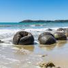 New Zealand 2014~2015-035