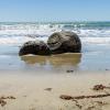 New Zealand 2014~2015-037