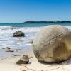 New Zealand 2014~2015-038