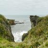 New Zealand 2014~2015-003