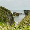 New Zealand 2014~2015-005