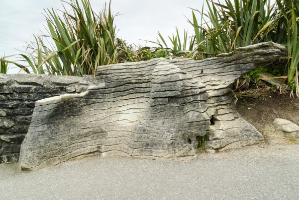 New Zealand 2014~2015-006