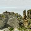 New Zealand 2014~2015-007