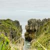 New Zealand 2014~2015-008
