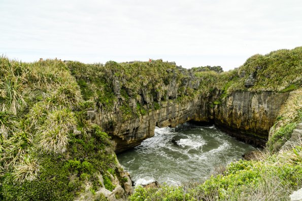 New Zealand 2014~2015-011