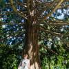 New Zealand 2014~2015-015
