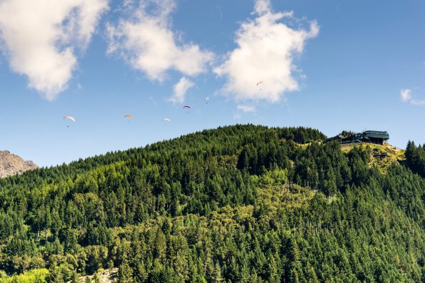 New Zealand 2014~2015-022