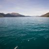 New Zealand 2014~2015-058