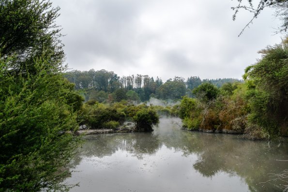 New Zealand 2014~2015-005