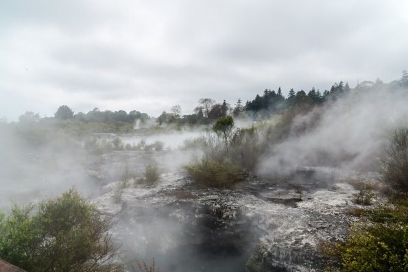 New Zealand 2014~2015-008