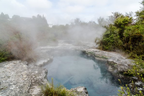 New Zealand 2014~2015-009