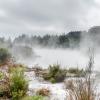 New Zealand 2014~2015-010