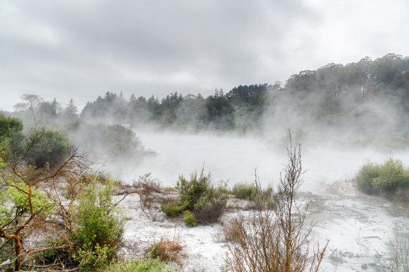 New Zealand 2014~2015-010