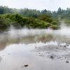 New Zealand 2014~2015-012