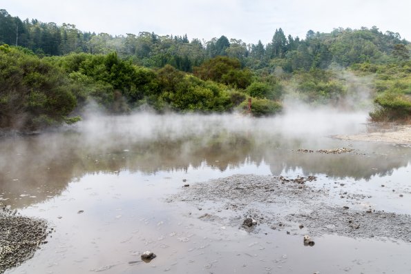 New Zealand 2014~2015-012