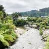 New Zealand 2014~2015-013