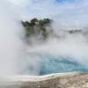 New Zealand 2014~2015-015