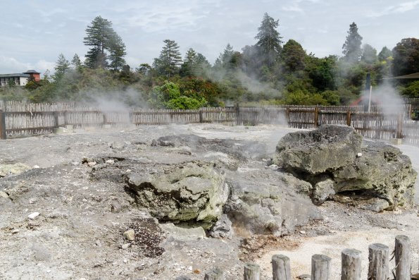 New Zealand 2014~2015-019