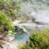 New Zealand 2014~2015-024