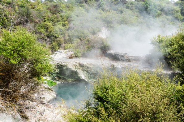New Zealand 2014~2015-024