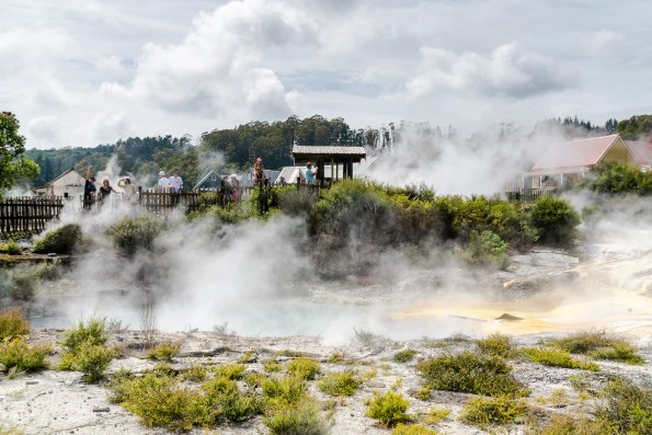 New Zealand 2014~2015-025