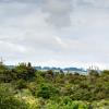 New Zealand 2014~2015-026