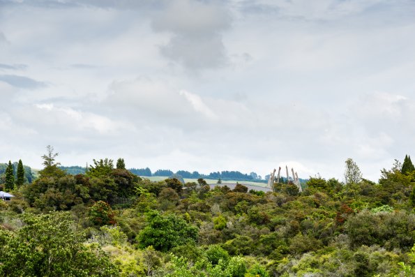 New Zealand 2014~2015-026