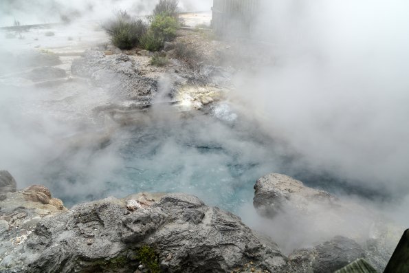 New Zealand 2014~2015-027