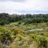 New Zealand 2014~2015-049