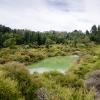 New Zealand 2014~2015-052