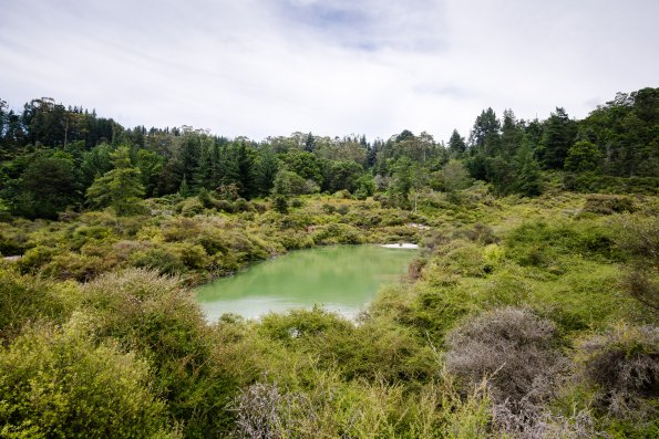New Zealand 2014~2015-052