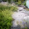 New Zealand 2014~2015-053