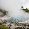 New Zealand 2014~2015-059