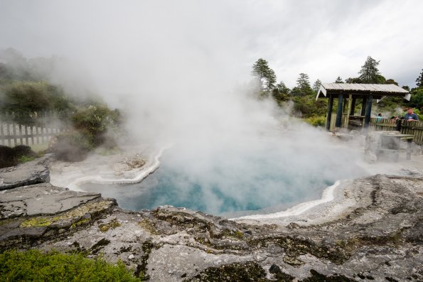 New Zealand 2014~2015-059