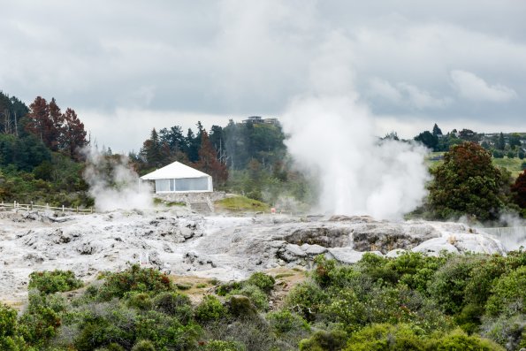 New Zealand 2014~2015-061