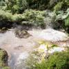 New Zealand 2014~2015-017