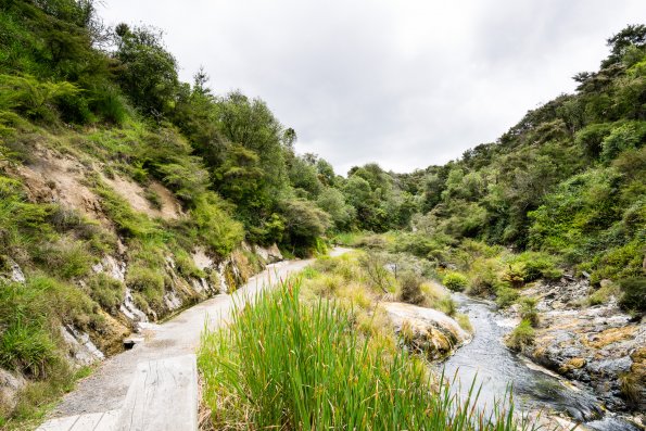 New Zealand 2014~2015-023