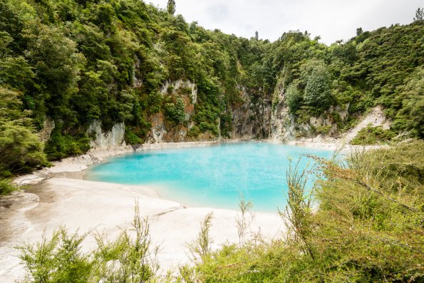 New Zealand 2014~2015-025