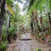 New Zealand 2014~2015-029
