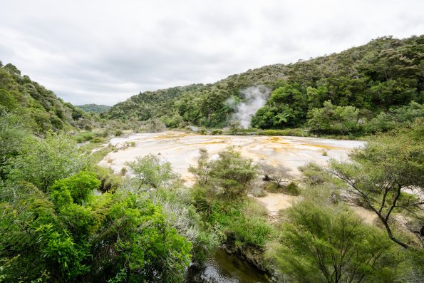 New Zealand 2014~2015-042