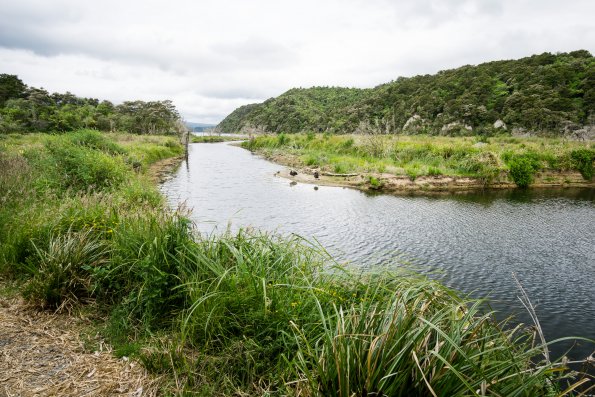 New Zealand 2014~2015-043