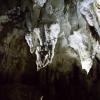 New Zealand 2014~2015-003
