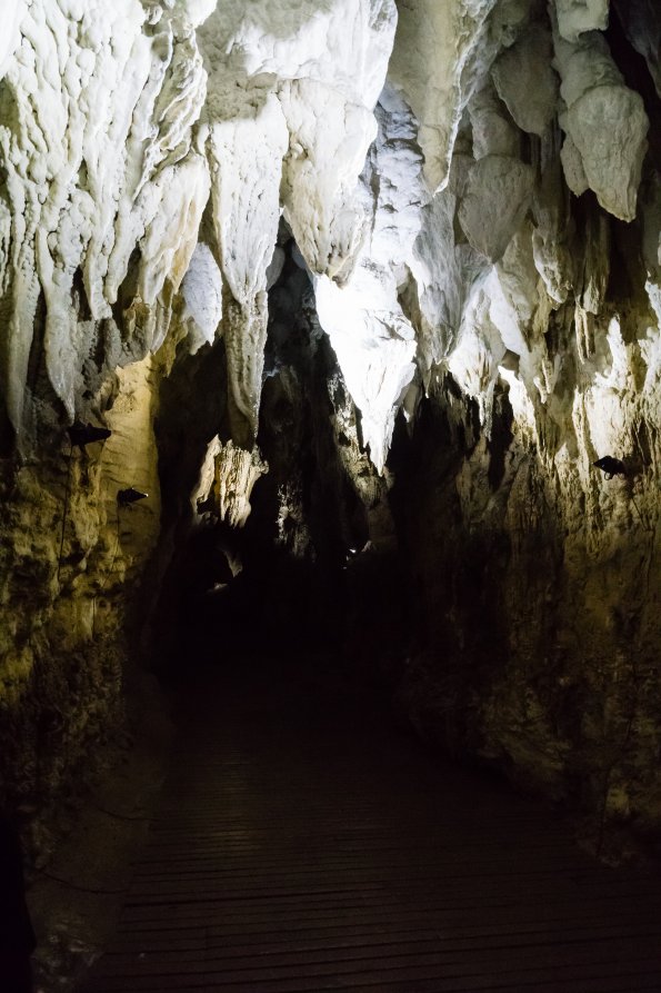 New Zealand 2014~2015-004
