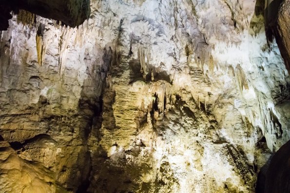 New Zealand 2014~2015-007