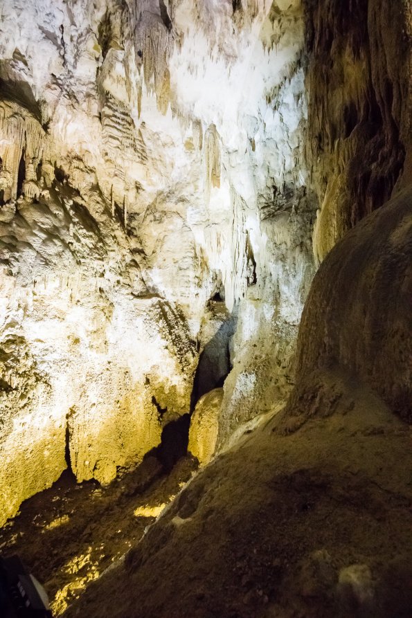New Zealand 2014~2015-008