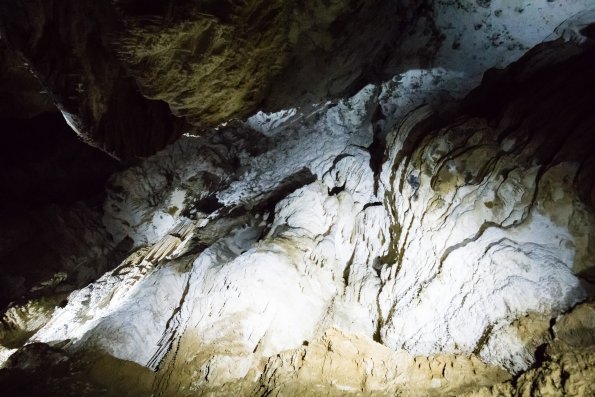 New Zealand 2014~2015-016