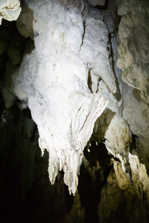 New Zealand 2014~2015-053