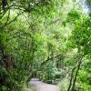 New Zealand 2014~2015-057