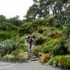 New Zealand 2014~2015-014