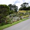 New Zealand 2014~2015-015